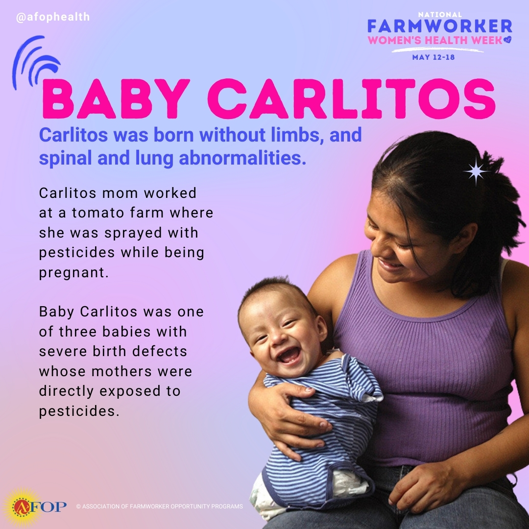 AFOPHealth's tweet photo. 🌸👩‍🌾 NFWHW Day 3: Pesticide exposure can harm the health of farmworker women and their unborn children. 
#NFWHW2024 #farmworkerwomen #Health4FarmworkerWomen #farmworkers #NFWHW #pesticides #pesticideexposure #pesticidesafety https://t.co/GAoLPhapC8