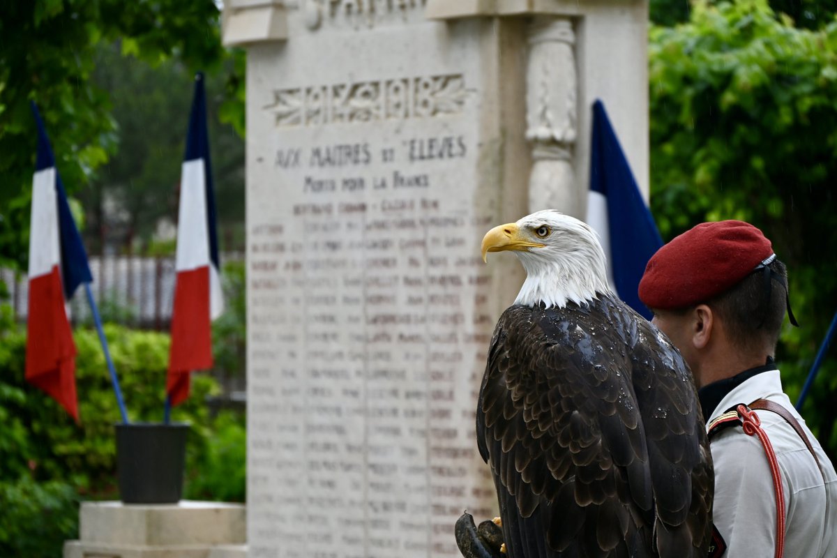 #Mémoire 💭 | Julien Henrard, Secrétaire général adjoint, s'est rendu au Collège Ingres pour commémorer la victoire du 8 mai 1945 et la capitulation de l'Allemagne nazie. Une cérémonie qui s’est tenue avec les militaires du 17ème RGP et de la classe Défense de cet établissement.