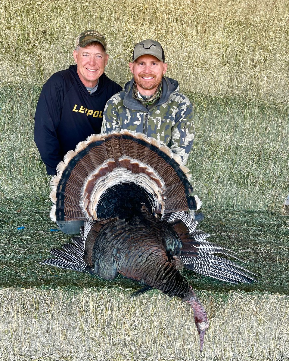 Jason from Missouri and a beautiful bird he took with us.

@bog_pod @MontanaDecoy 
#fulldrawoutfitters #everythingeichler #fredeichler #turkeyhunting #turkeyseason #gobbler #strutter #merriams #longbeard #coloradohunting #hunting