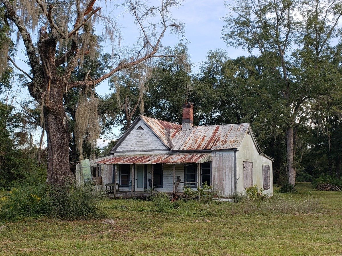 This might be a $30k run down house, but it ain't gotta be dead and that's a $50k tree. I been staring at it for an hour. I'd pay $80k for this place in a heartbeat. (pic from @shepdf)