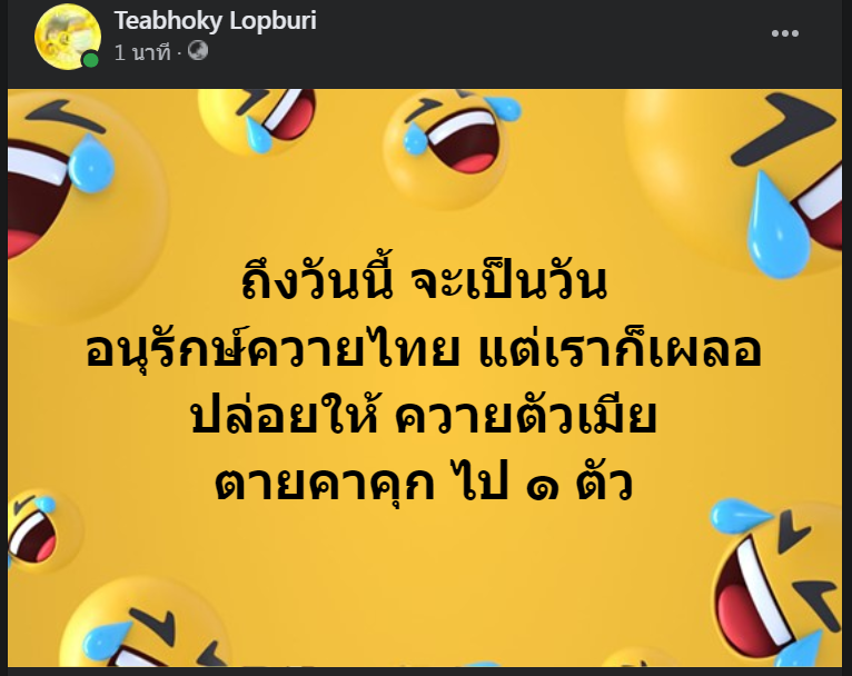 น่าเสียดาย