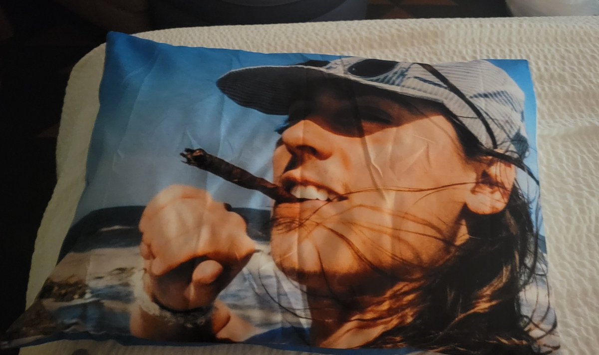 my tybee jake pillowcase is the best purchase i have ever made