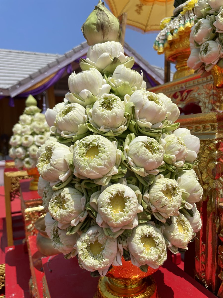 TomokiSANDO's tweet photo. 仏花

八重の蓮の蕾を使い、花弁を折り畳み、あたかも咲いているかのように見せている。 https://t.co/y9YVjJ8Ilq