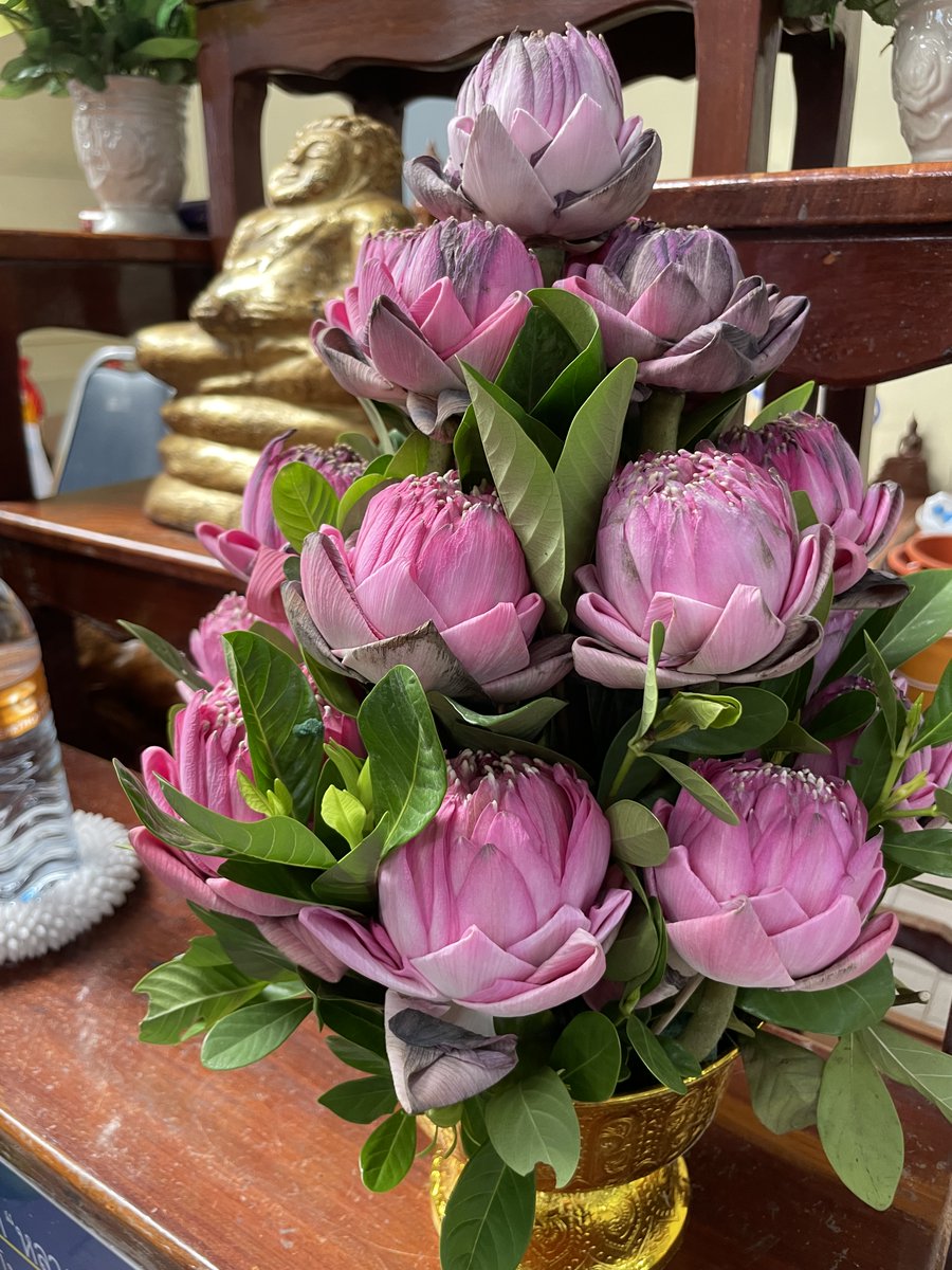 TomokiSANDO's tweet photo. 仏花

八重の蓮の蕾を使い、花弁を折り畳み、あたかも咲いているかのように見せている。 https://t.co/y9YVjJ8Ilq