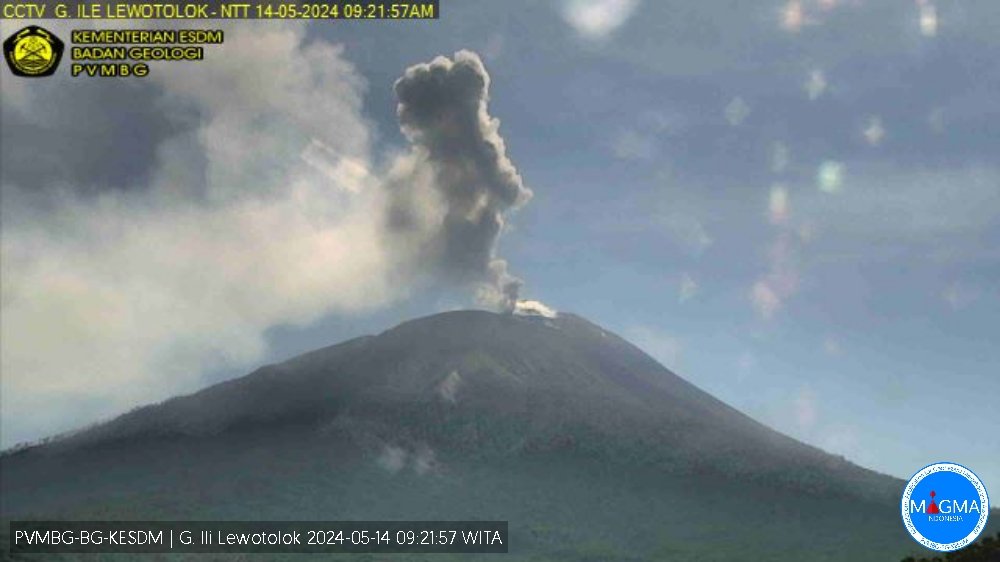Terjadi erupsi G. Ili Lewotolok pada hari Selasa, 14 Mei 2024, pukul 09:12 WITA tinggi kolom abu teramati ± 800 m di atas puncak. Erupsi terekam di seismograf dengan amplitudo maksimum 34.5 mm dan durasi 137 detik. magma.esdm.go.id/v1/gunung-api/… via @id_magma