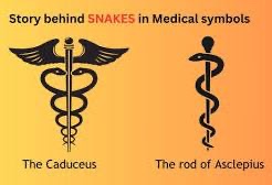 According to Rev 1:11 the devil dwells in Pergamon. 

The God of Pergamon is the snake god of medicine, Asclepius. 

The rod of Asclepius, The Caduceus, is now the symbol of modern medicine.

How fitting!

@JMCDelingpole @PrinceySOV