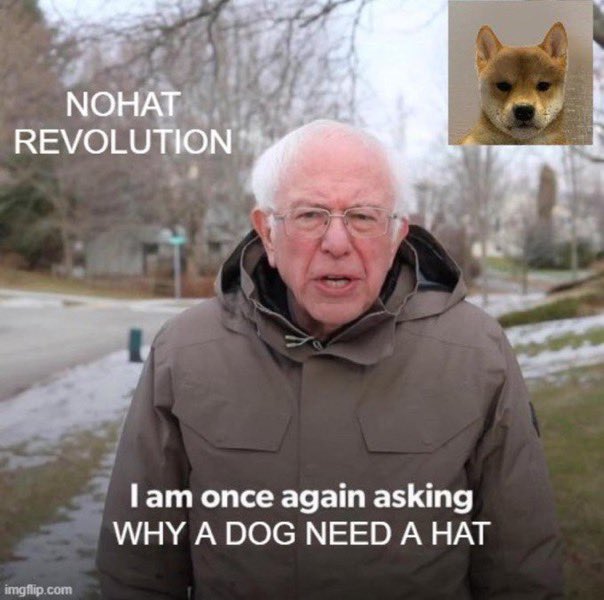 retzl1973's tweet photo. @Flordelav $NOHAT - No more animal abuse
#NOHAT - No rugs
@nohatsolana - Organic growing, strong community. 

Our community is under attack now, but this is the best time to gain much more. https://t.co/na5iDwIndF