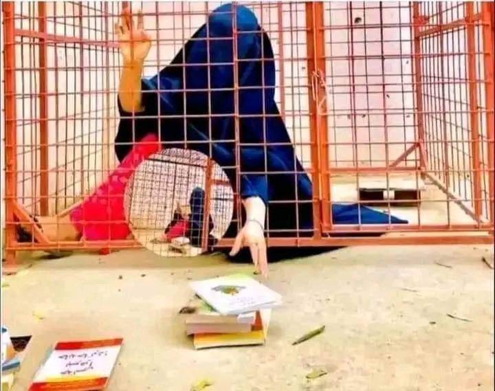 This is the life of a #woman in Afghanistan.!!!!!!
 
Do #not_forget the girls of Afghanistan
It has been more than #1000x days that #Afghangirls have not gone to school and university.
#WomenLifeFreedom #WomenEmpowerment