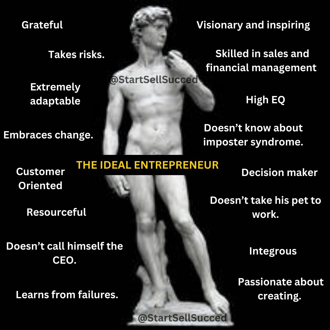 Is this the ideal entrepreneur?