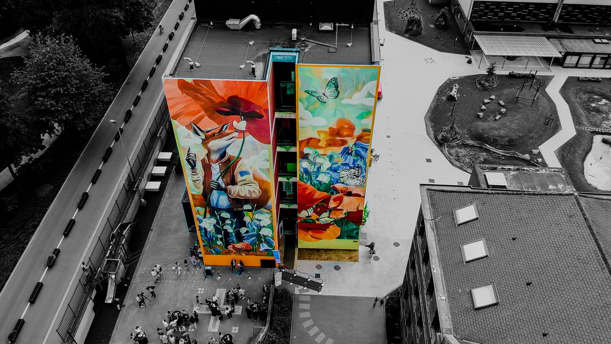 EU Commissie in België / Commission UE en Belgique tweet media