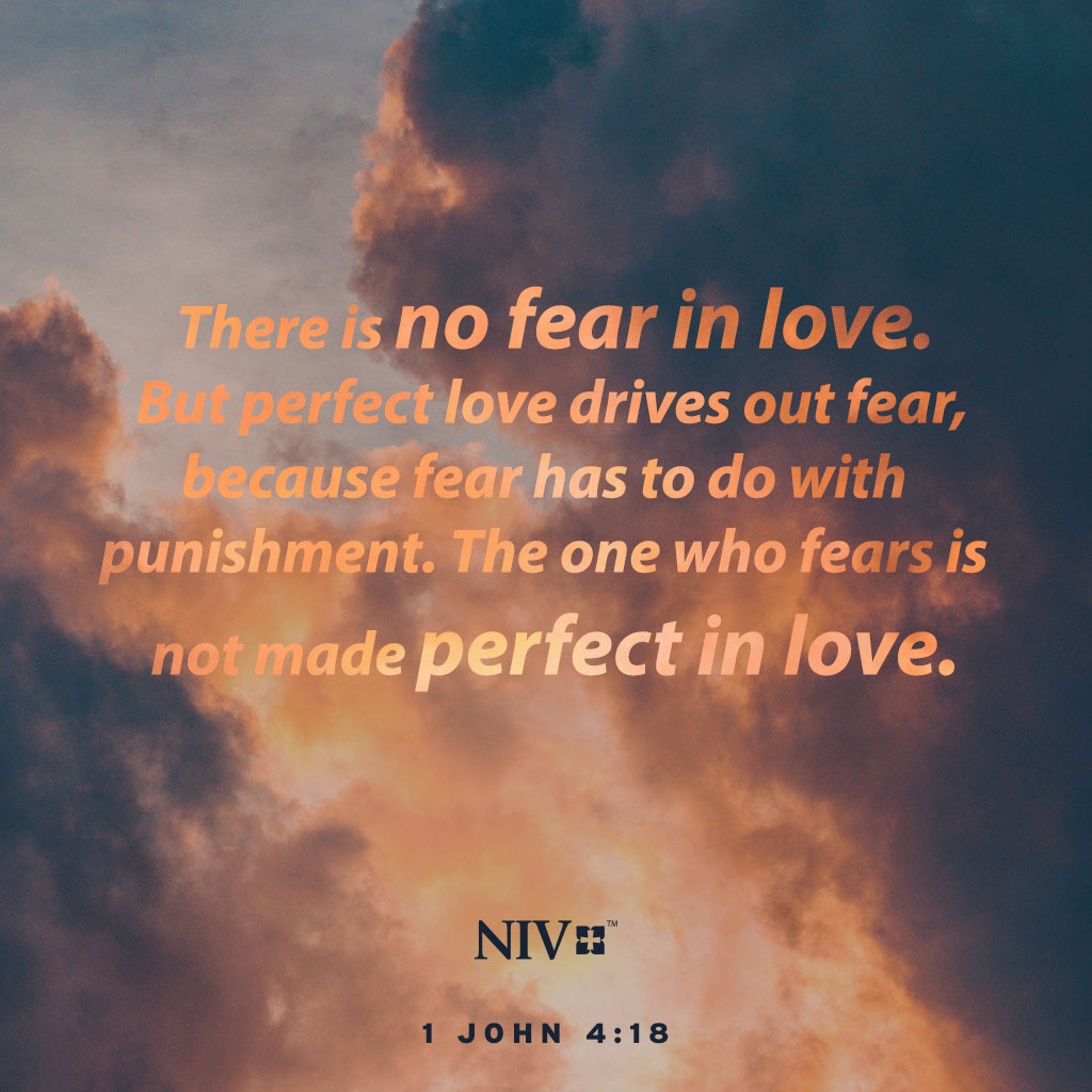 There is no fear in love. But perfect love drives out fear, because fear has to do with punishment. The one who fears is not made perfect in love. 1 John 4:18 #niv #nivbible #verseoftheday #votd