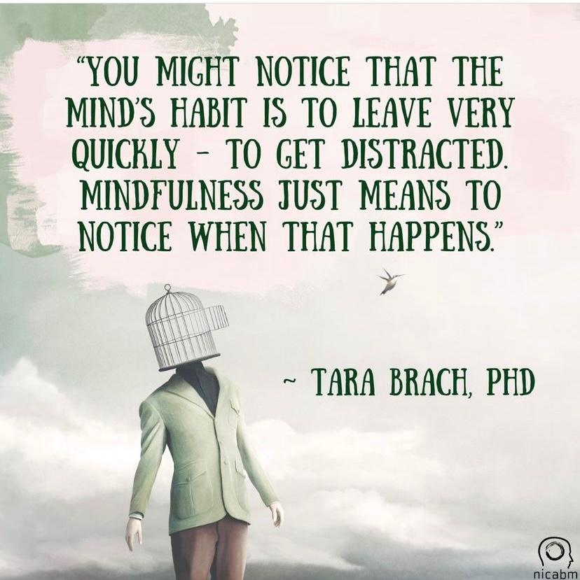 What is mindfulness? It is when we notice that the mind is distracted and gently bring it back to focus; paying attention to the present moment, on purpose. #MindfulnessMoment #TaraBrach #PresentMoment