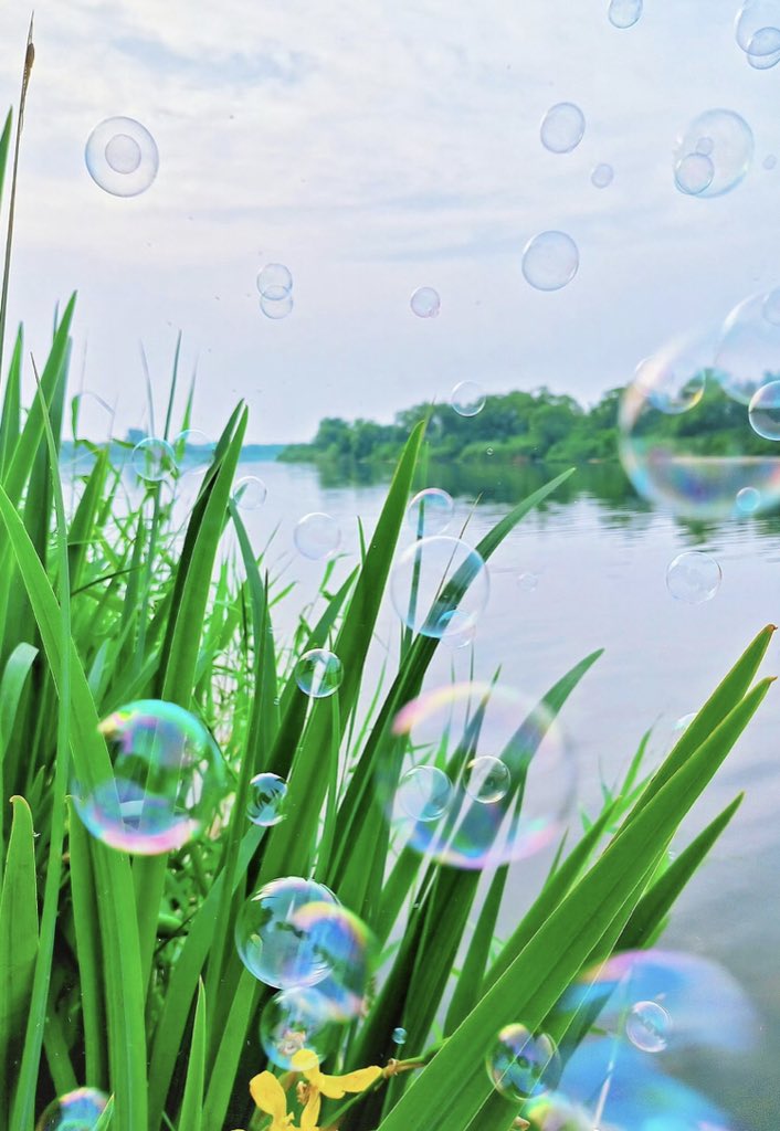 The light dancing of bubbles is like happy notes, adding color to life.