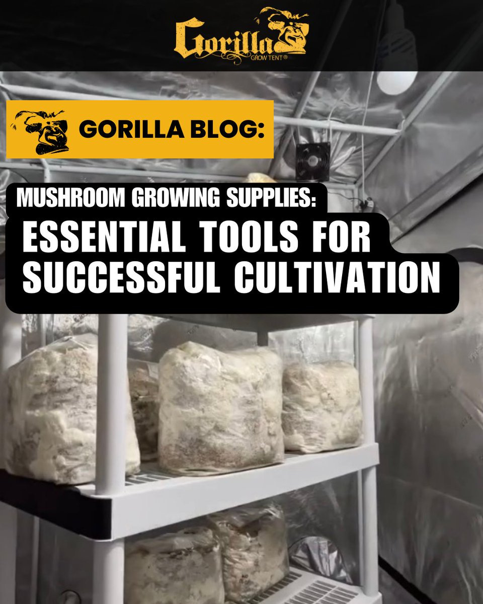 🍄🔥 Ready to rule your fungi kingdom? Our latest blog lays out the essential checklist for mushroom growing. Arm yourself with the right gear and conquer the grow game. Dive in now – click the link below! #GrowStrong 🍄‍🟫: bit.ly/GGTMushroomBlog