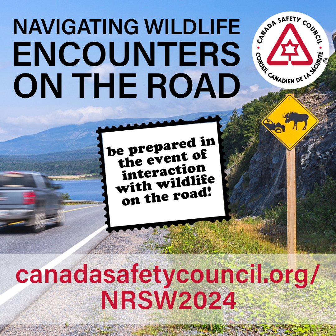 Picture this: you’re driving down the road on a quiet summer evening. The trees lining the path are swaying with a soft seasonal breeze. Suddenly and without warning, an animal jumps into the roadway, directly in your path. Do you know what to do?