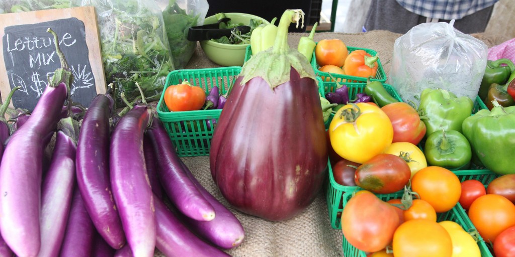 Want the most seasonally fresh, spray-free produce the day it's harvested? Garden Grab Bags are a great way to support the Urban Farm at TMU and receive a weekly, surprise bag of produce for a great price!

Learn how to subscribe: ow.ly/Rkh850RyAKn