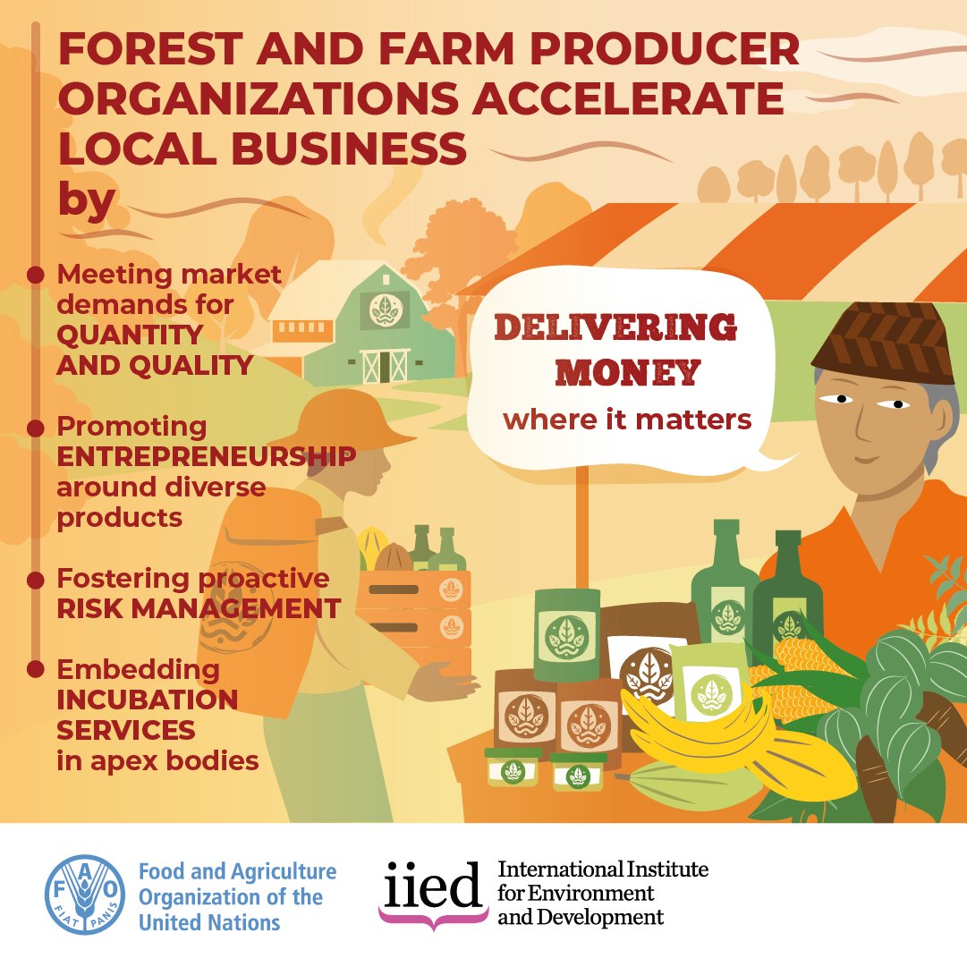 Did you know? Forest and farmer producer organizations accelerate local business by delivering money where it matters. Find out how the #ForestFarmFAcility is providing support 👉 bit.ly/FFFacility @IIED @IUCN @FFP_AgriCord