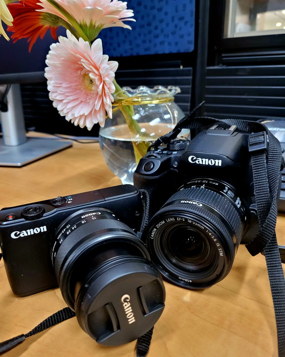 Did you know that Niagara College Libraries and Learning Commons offer more than just books? 📚 Dive into our diverse collection featuring DSLR Cameras 📷, Lenses, Video Cameras, Digital Voice Recorders, Wireless Presentation Clicker, Microphones, Go Pro Cameras, and more!