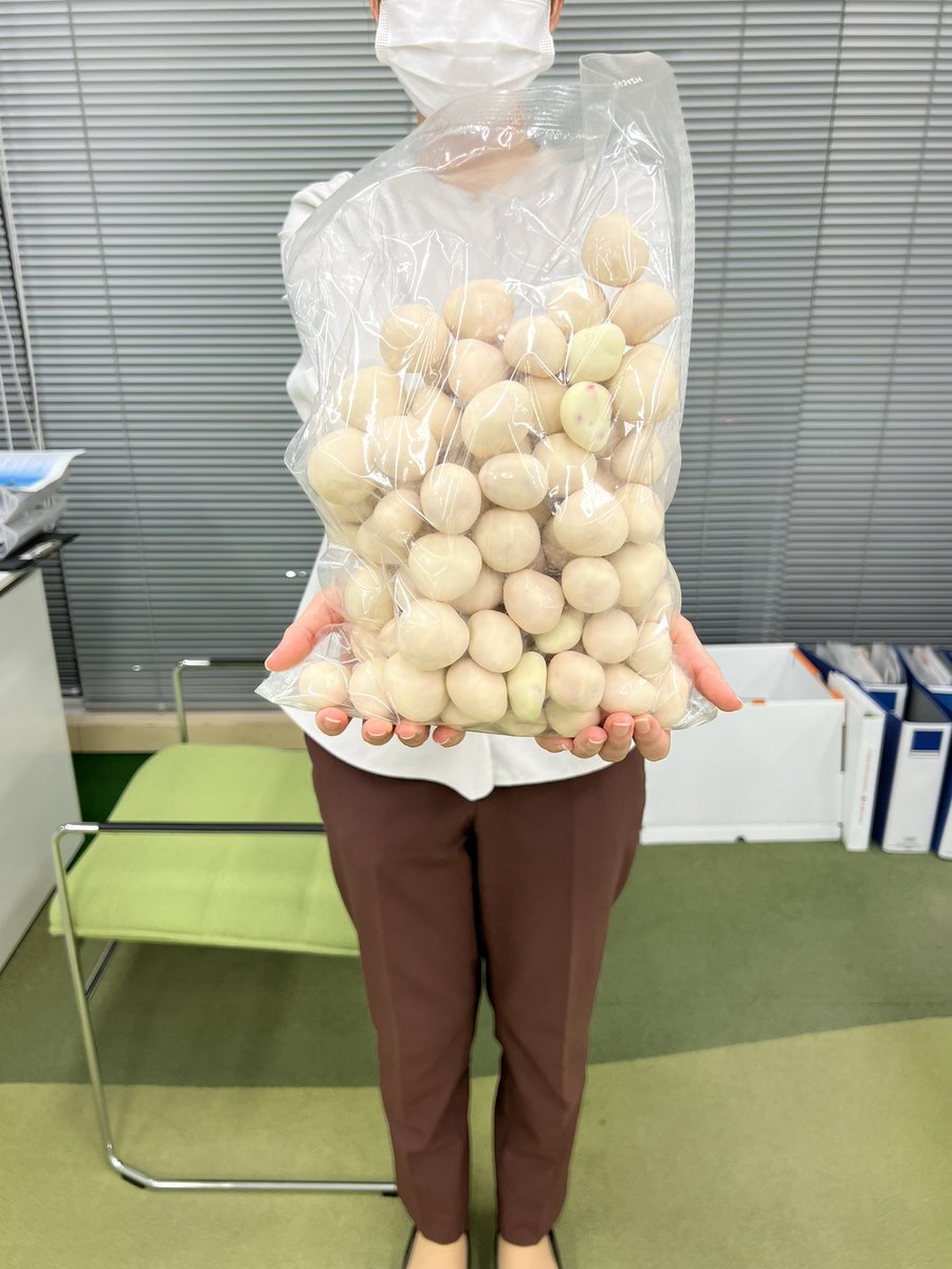 itoking_ichigo's tweet image. 皆さま🙋‍♀️
今から 社長のせいで大量に生まれた #いちごの卵 訳アリ1kg袋を、18名様への無料 抽選プレゼント企画を始めさせて🌸🙇‍♀️🙇‍♀️
一粒頂くだけで、明日もやったるで！と元気モリモリになる優しい味のチョコ！これの1kg袋を無料で、18名様にお届け😆…