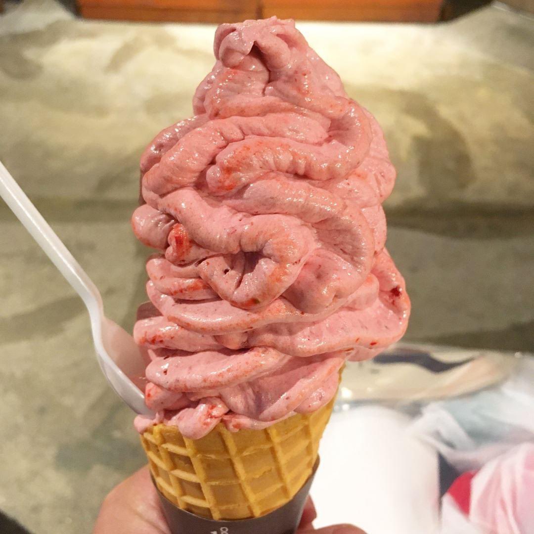 数年前に大阪で食べたソフトクリームが完全に腸でした(いちご味です