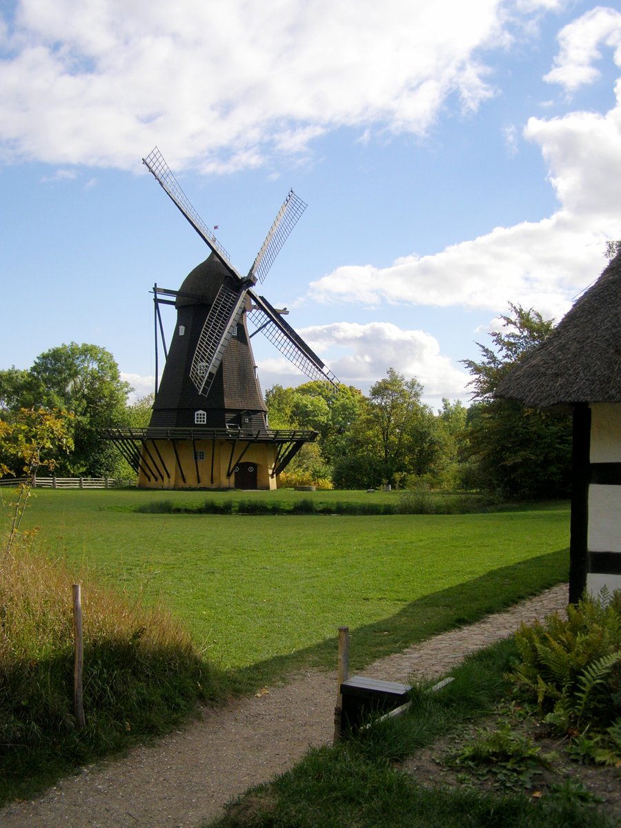 Even though it is on the outskirts of a large city ~ it is so quiet that you feel like you are in the middle of nature 😌 #Frilandsmuseet #Lyngby #Danmark #TheOpenAirMuseum #Denmark #Ged #Animals #Nature #Gæs #Windmill #Goat #Photography #Museum #Vindmølle #Dyr #Geese #Farm