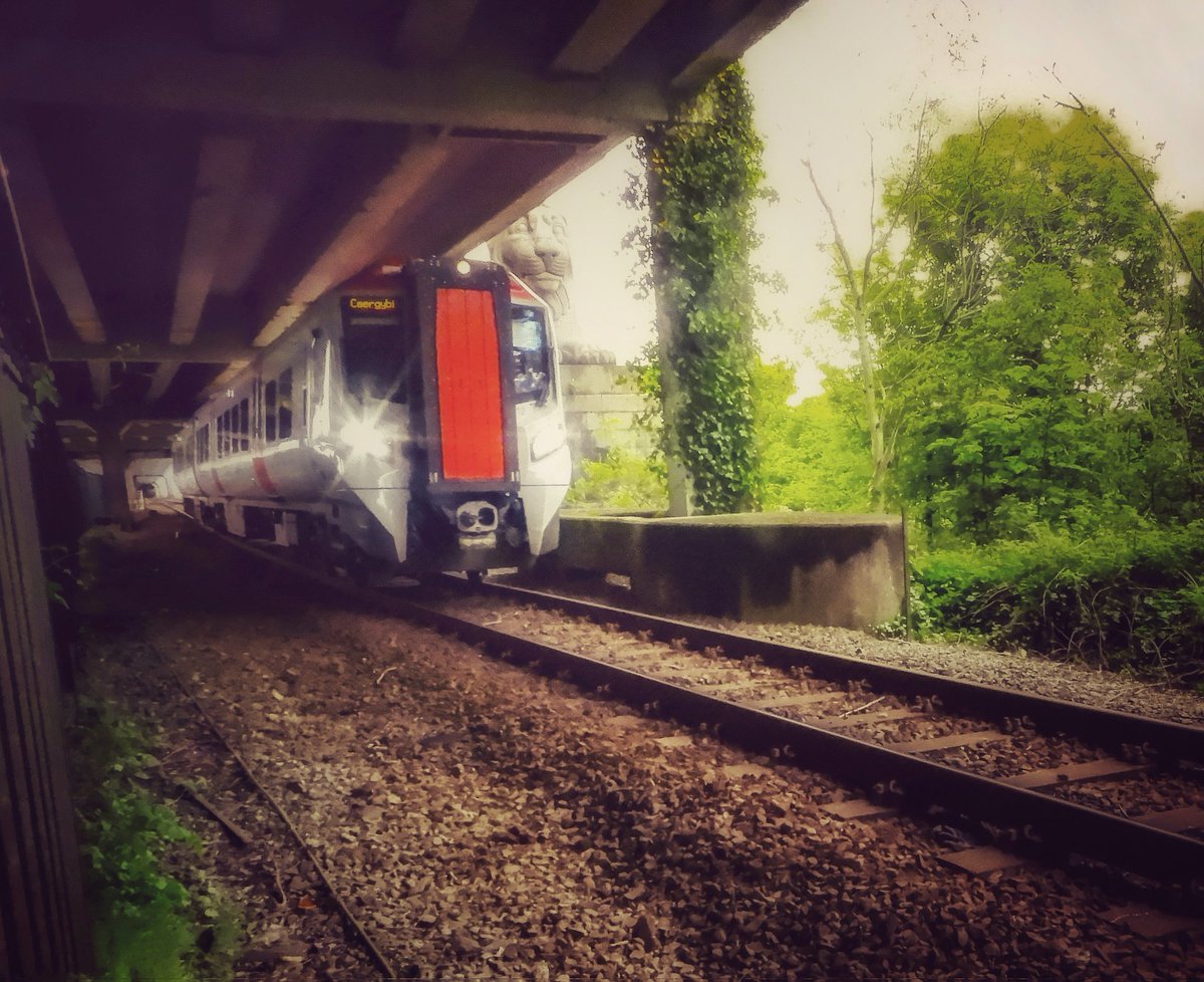 'A Hidden Lion', Under The Britannia Bridge, Nr Carreg Bran Hotel, Church Lane, Llanfairpwll today 🌁🚇🦁 @Ruth_ITV @DerekTheWeather @ItsYourWales @BBCWalesNews @BBCCymruFyw @NTWales @ITVWales @northwalesmag @BangorWalesNews @tfwrail @nationaltrust @transport_wales #LoveAnglesey