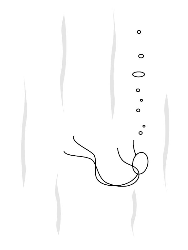 raphapena's tweet image. 