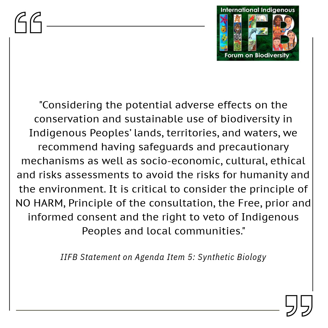 'We recommend having safeguards and precautionary mechanisms as well as socio-economic, cultural, ethical and risks assessments to avoid the risks for humanity and the environment. @Yolanda Teran RMIB-LAC IIFB Statement, Agenda Item 5: Synthetic Biology #sbstta26 #Indigenous