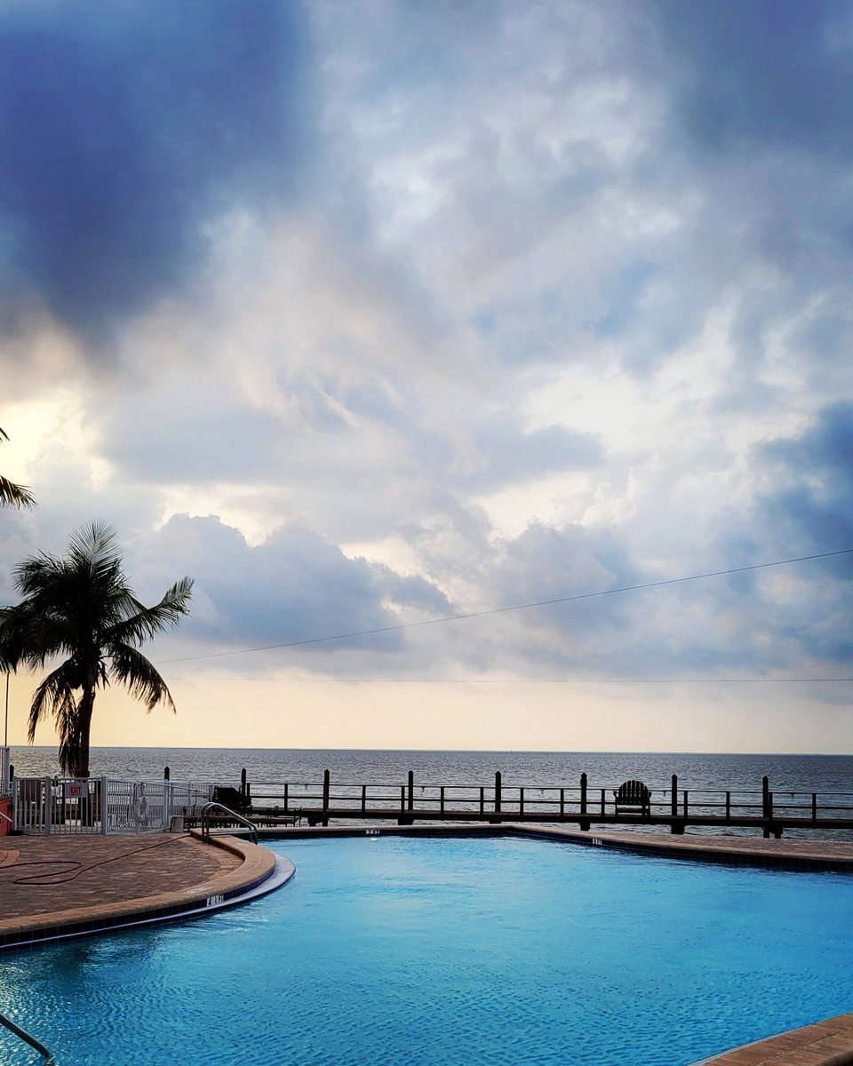 🇺🇸 TUESDAY MORNING 🇺🇸

#stpete #Florida #USA #morning #tuesdayvibe #GME #pool #saltwater