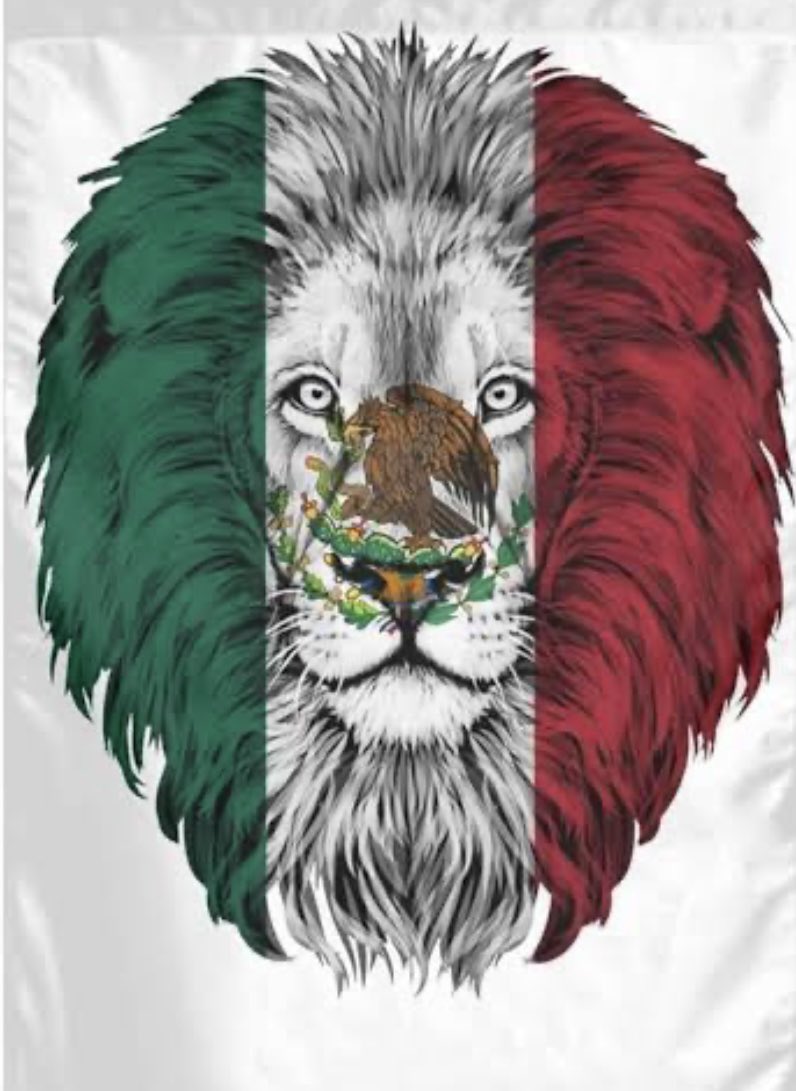 Hola a todos. 

La #BatallaCultural no es para tibios, no es para pastorear ovejas sino para despertar leones. 🦁 

Ese mensaje lo deberemos tener muy claro en su momento cuando se configure una #NuevaDerecha en México.

Ya está más que demostrado que los mexicanos quieren un