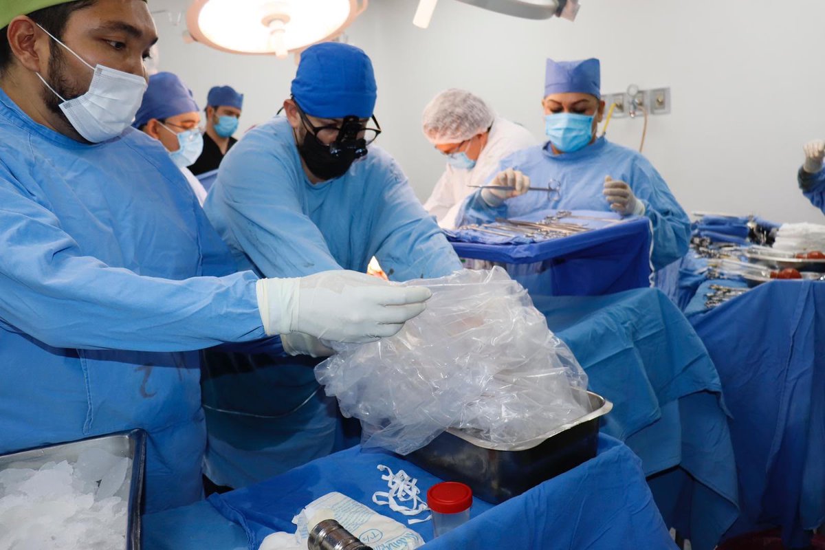 El IMSS Sonora concretó la segunda donación multiorgánica del año, gracias al apoyo de la familia de una joven de 20 años con muerte cerebral, la que beneficiará a un centenar de personas en distintas partes del país.
Nota:🔴📝👇
elmitotero.com.mx/se-logra-en-im…
#ElMitotero #Hermosillo