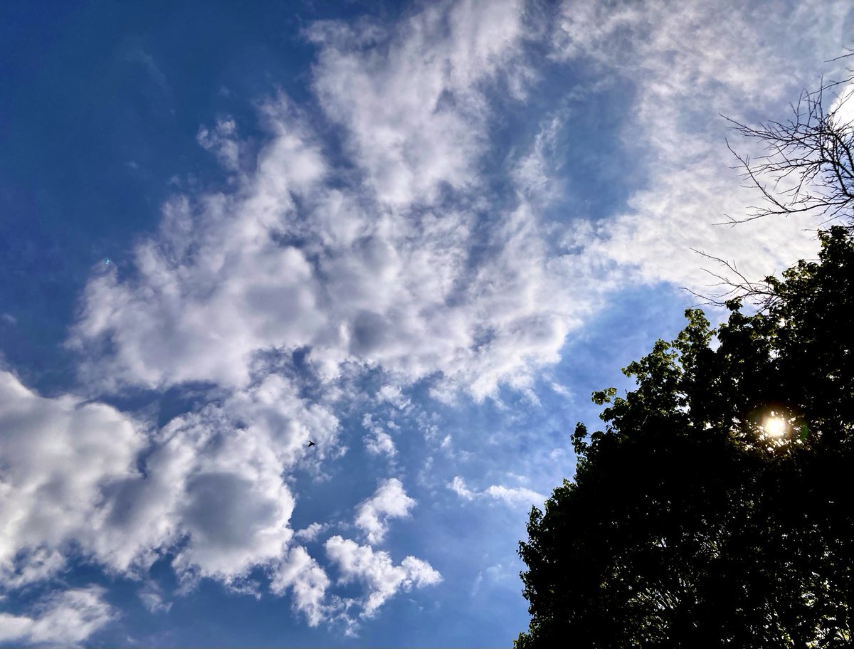 #NaturePhotography
#Naturephotography
#photography #Photography 
#nature #naturelovers
#tree #sky #sunrays #Tuesday 
#skyphotography #outside #seasons 
#May #naturesbeauty 
#Spring #sun  #clouds