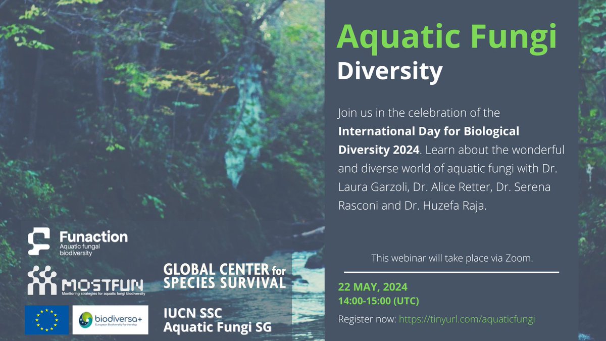 Let's celebrate the #BiodiversityDay 2024!

Register for our webinar on Aquatic Fungi Diversity.

22 May, 14h UTC | Registration link: tinyurl.com/aquaticfungi

Join us in celebrating this wonderful, diverse and largely unknown world of #aquaticfungi.

Be #PartofthePlan!