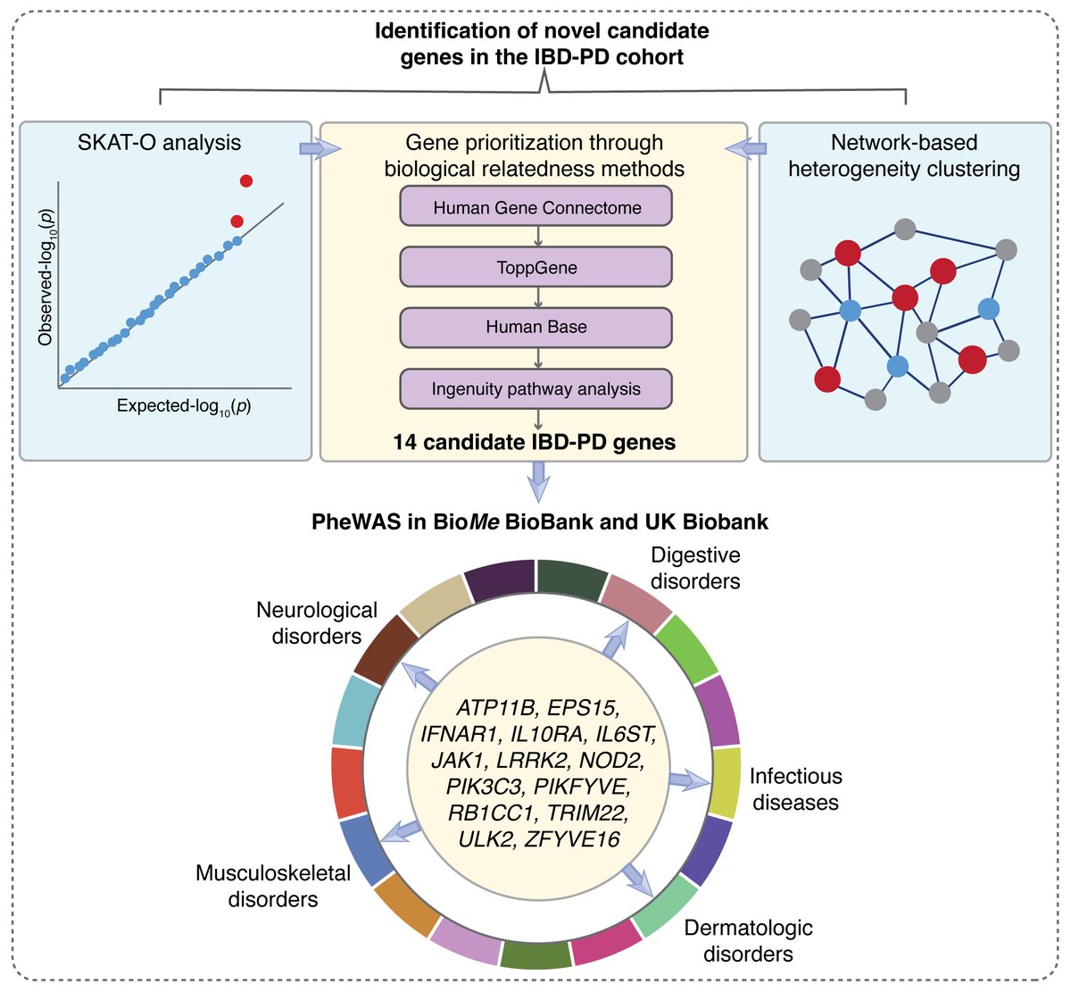 Our new publication of the shared genetics between IBD and Parkinson's disease (PD) within a cohort of patients affected by both conditions is online: genomemedicine.biomedcentral.com/articles/10.11… Congrats @indocyaninegrn who masterfully led this work, and Dr. Inga Peter for the great collaboration.