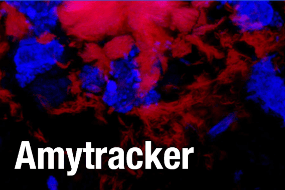 Detect pre-fibrillar states of #amyloids specifically, from a variety of amyloidogenic #proteins or #peptides in tissues & living #cells with innovative @EbbaBiotech optotracers 🔗stratech.co.uk/our-partners/e… #Amytracker #fluorescence #Alzheimers