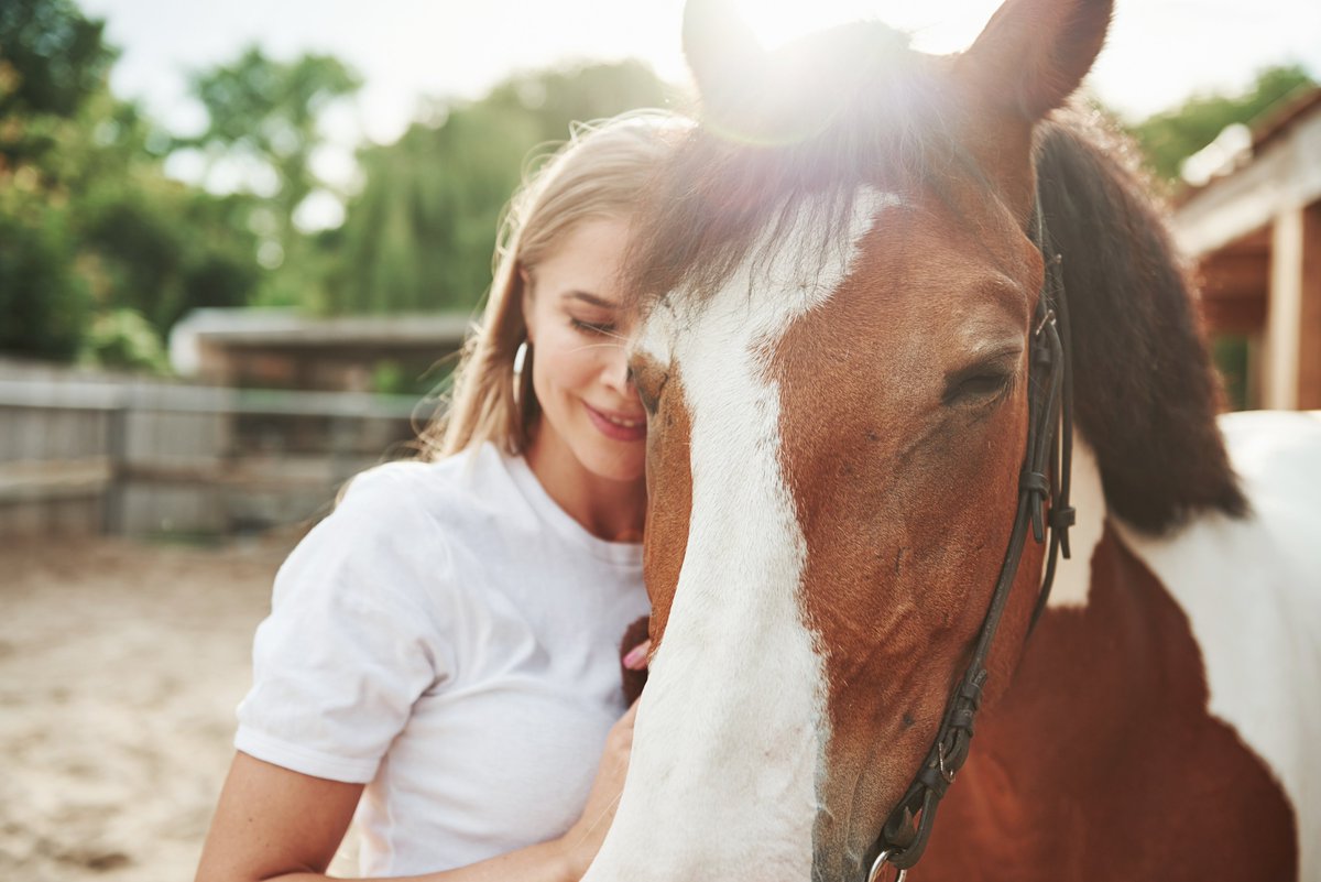 Virginia4_H's tweet image. Have you wondered about the #Virginia4H Horse Program? 🐴 The program emphasizes #ProjectBased learning about equine nutrition, management, riding, recreation, and competition! 🍎

Are you ready to get involved, or are you just horsing around?

➡️ ext.vt.edu/4h-youth/horse… 🍀