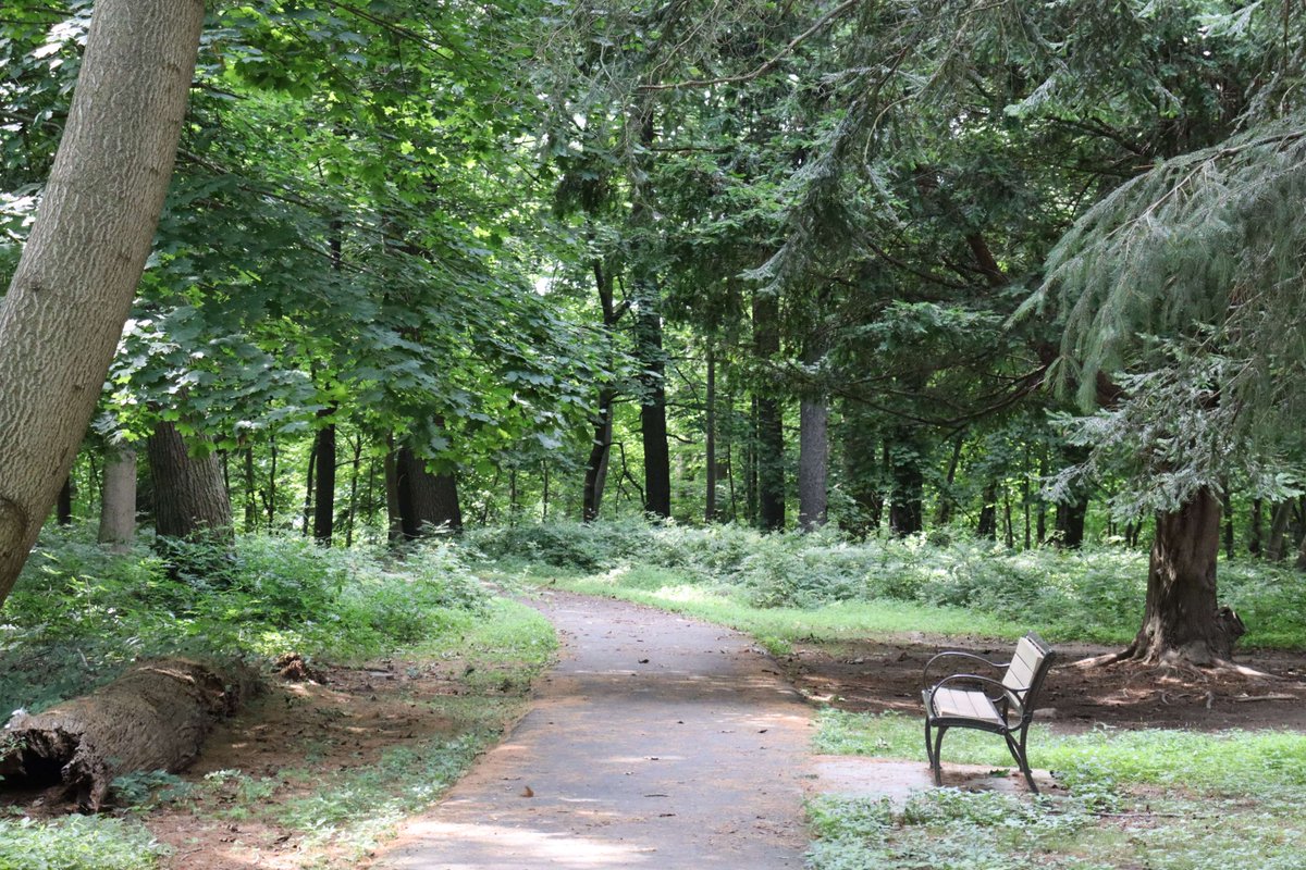 Visit Lenoir Preserve, Saturday, May 18, from 1 p.m. to 2 p.m. for its Wildlife of Lenoir program to take a look at the wildlife its trail cameras captured.