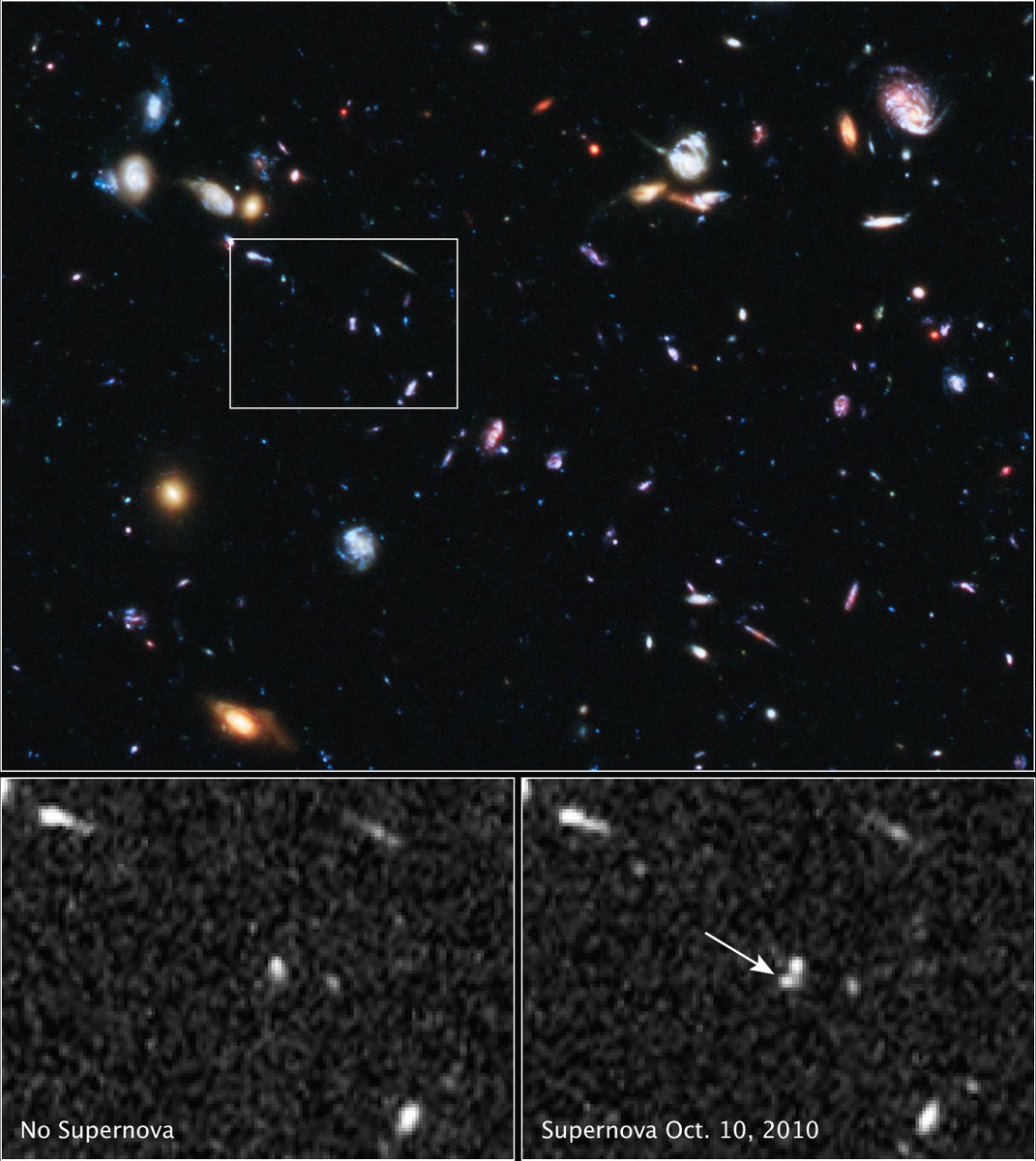 When Hubble detected Supernova Primo in 2011, it was the farthest Type Ia supernova known at the time with a confirmed distance. The feeble glow came from a star that exploded more than 9 billion years ago! It was discovered in a Hubble survey program: bit.ly/3VxV7lp