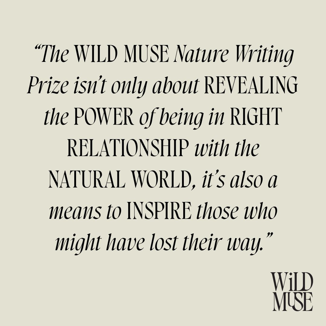 Celebrate nature with the Wild Muse Writing Prize! Whether you're a seasoned writer or just love sharing your nature reflections, we want to hear YOUR stories. Find out more: gabrielablandy.org/nature-writing… Gabriela x #NatureWriting #WritingCommunity #writerslift
