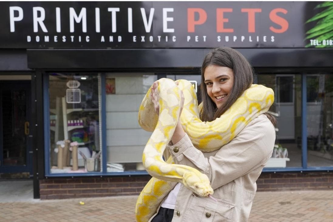 Come and meet Mable! New exotic pet shop opens in Ossett wakefieldexpress.co.uk/news/people/co… #LocalToOssett #westyorkshire