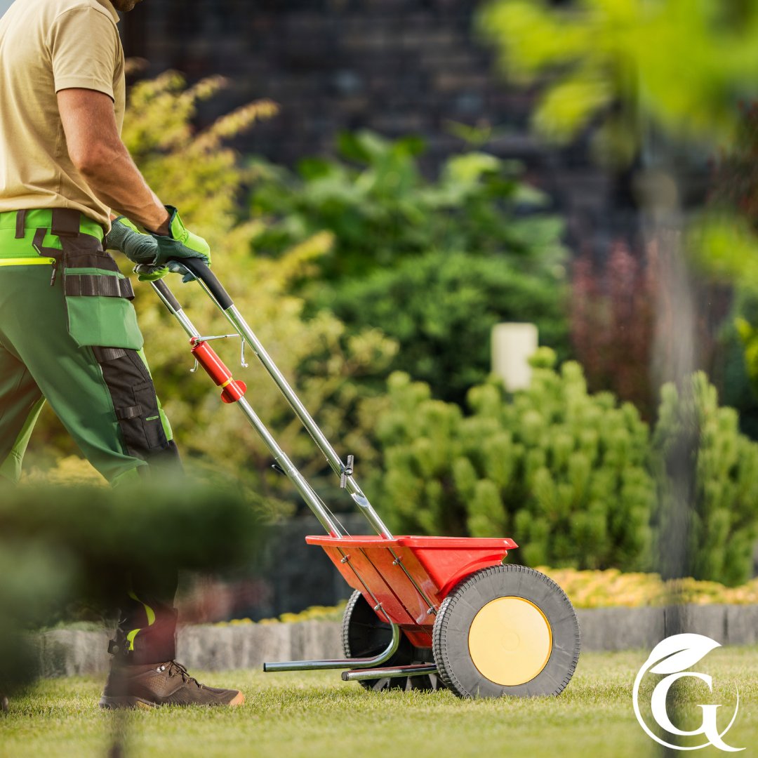 Say goodbye to yellow patches and hello to a vibrant green lawn with Guardian Lawn Care's fertilization treatments. Trust in our expertise to revive your lawn's health. #GuardianLawnCare #lawncare #lawntreatments #fertilizer