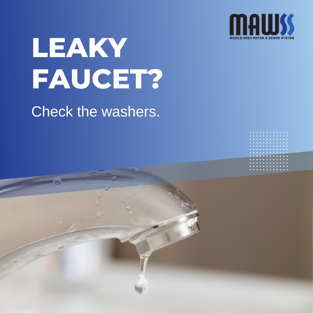 🚰💧 Say goodbye to the leaky faucet! If water drips when turned off, it's a bad washer. If water drips when turned on, it's a different type of bad washer. Replace any bad washers, but remember to turn off the water supply before making repairs. #WaterLeaks #DIYTips