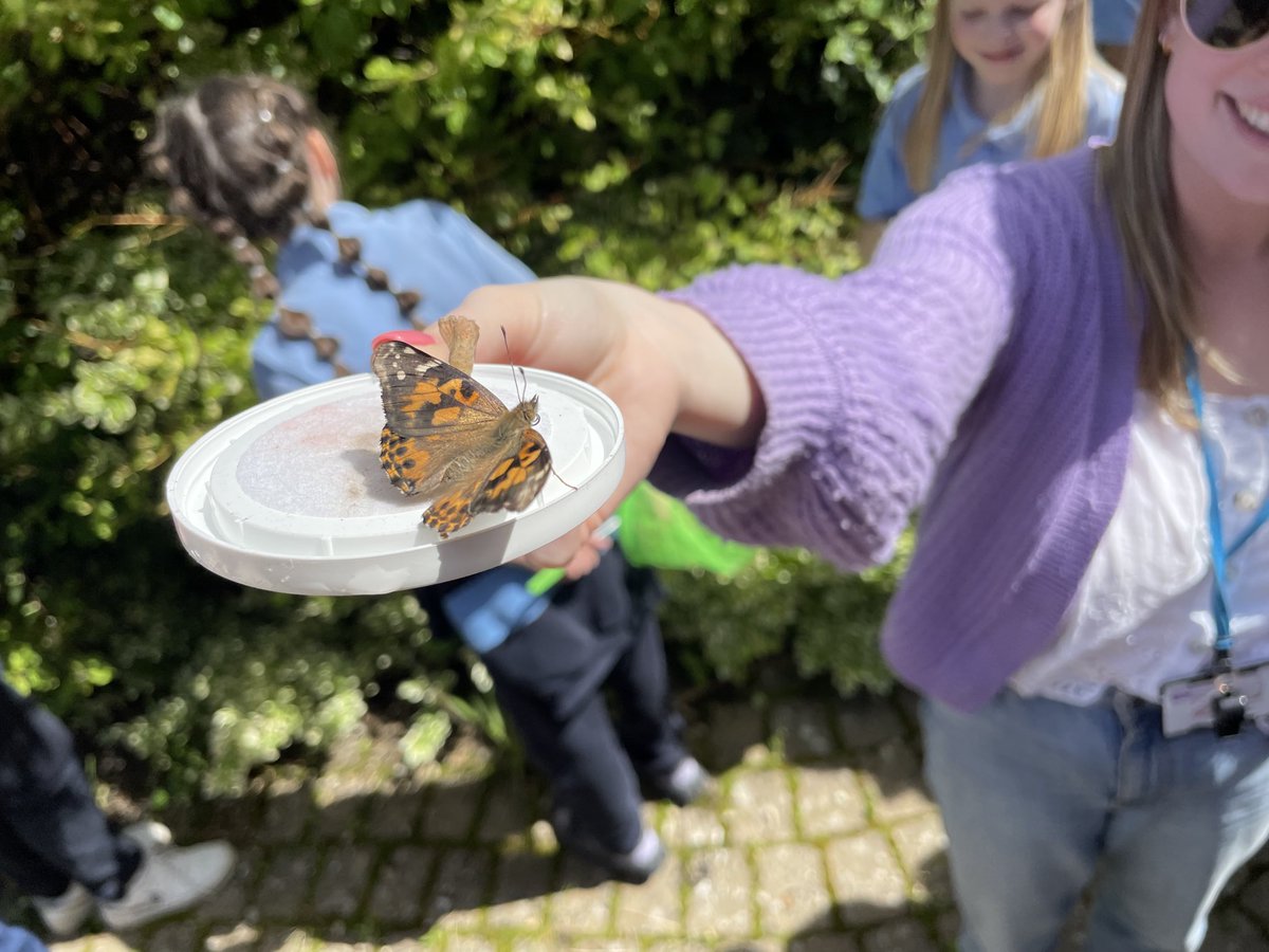 The Butterfly farm got new visitors from Ms Tyrrell and Ms Long’s class this week..The warm day dried the young butterflies wings as they took off to their nearby favourite bush. Great enjoyment and a celebration of the wonderful colours in nature👏