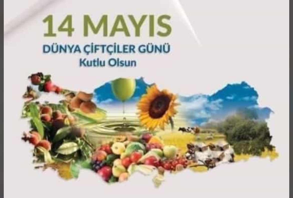 cuneytozbek30's tweet photo. https://t.co/AuiAi3ciz4