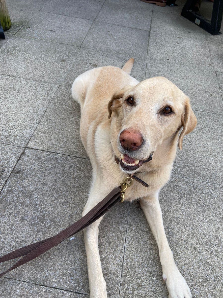 George Mills tweet media