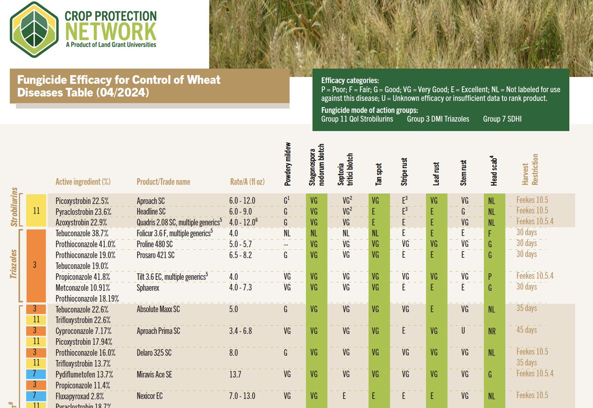 2024 Wheat Fungicide Efficacy Guide is posted at cropprotectionnetwork.org/publications/f…. @KelseyFAndersen @NDSUcerealpath @cropdoc08 @cropdisease @badgercropdoc @PACropDoc @MartinChilvers1 @TNplantDR @AlbertTenuta @OSUwheatdisease @OSU_smallgrains @LSUAgCenter @UMNExt @baldpathologist