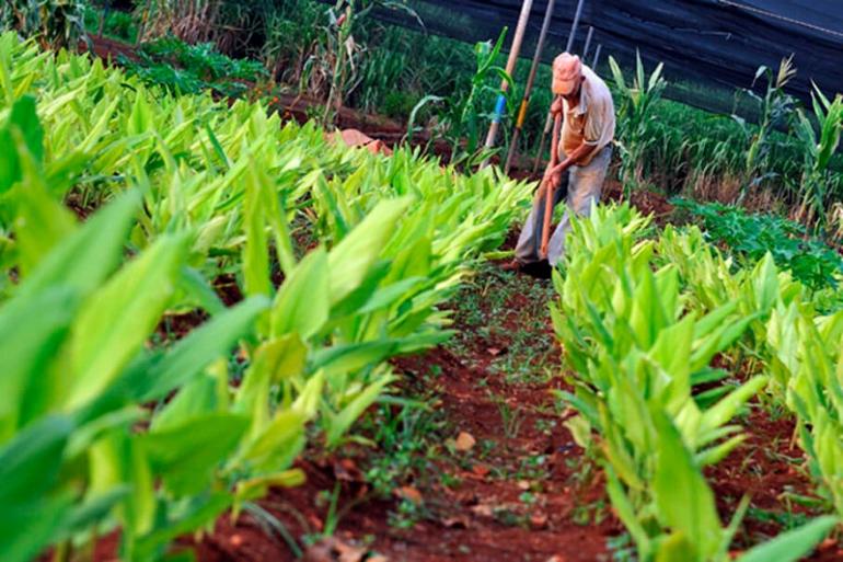 Autoridades venezolanas definen acciones para conformar una Zona Económica Especial Agroalimentaria tinyurl.com/bdjrycj6