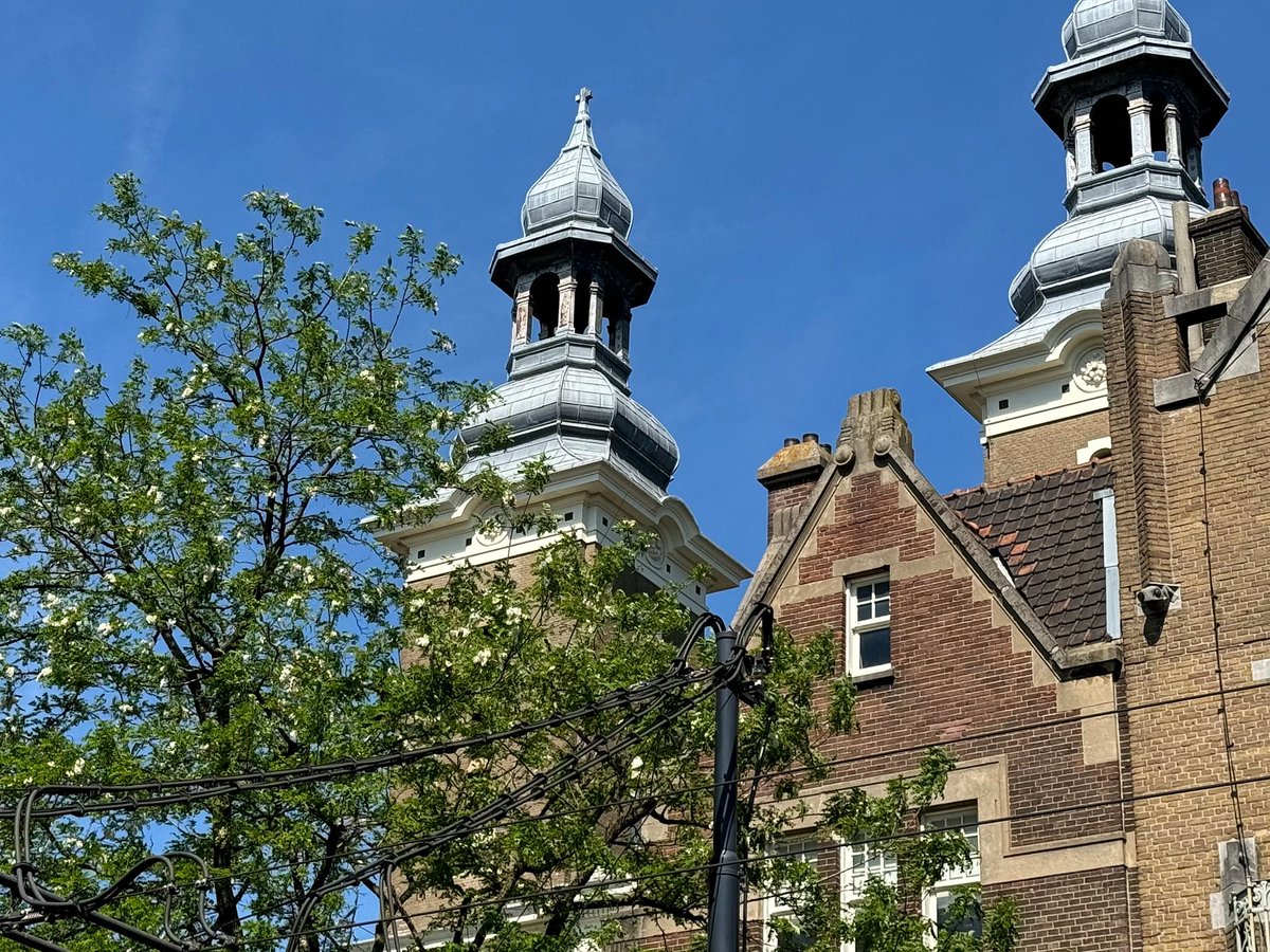 Zijn het acacias op de Nieuwe Binnenweg #Rotterdam ?

In ieder geval vult hun bloesem de lucht nu met heerlijk zoete geuren.