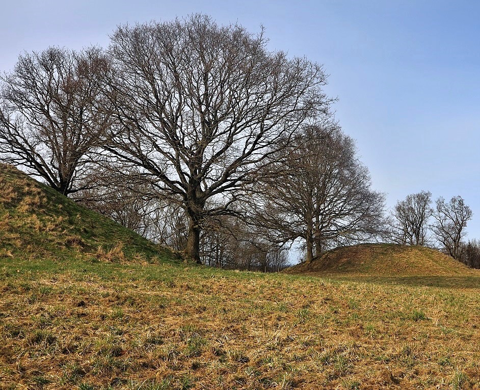 Part of a beautiful group of six round barrows in Denmark. Originally there were seven mounds, but one is ploughed out. #TombTuesday More 1/