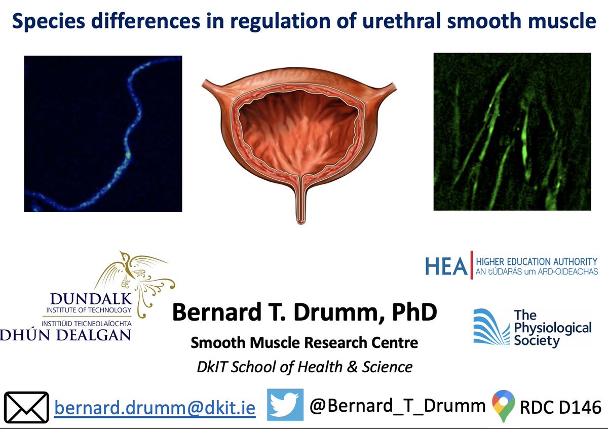 Thank you to Prof. Paolo Tammaro at @UniofOxford for the kind invitation to Oxford to share our latest work from @DkIT_ie @SMRC_Lab on interstitial cells in the urinary tract. Really enjoyed the chats about science, teaching and good red wine.